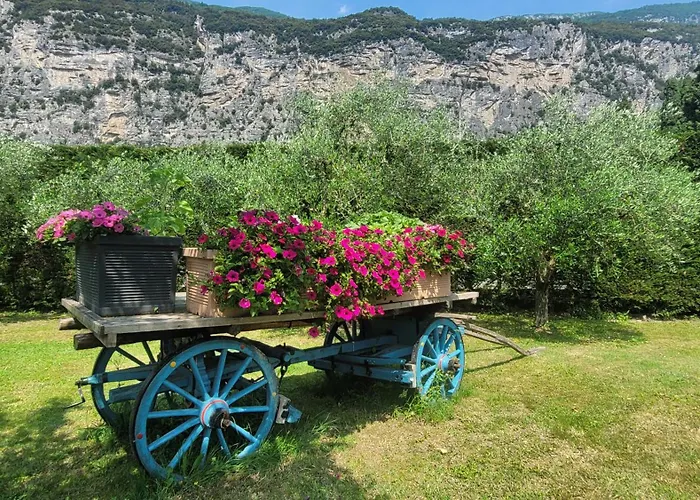 Agriturismo Vin E Amor